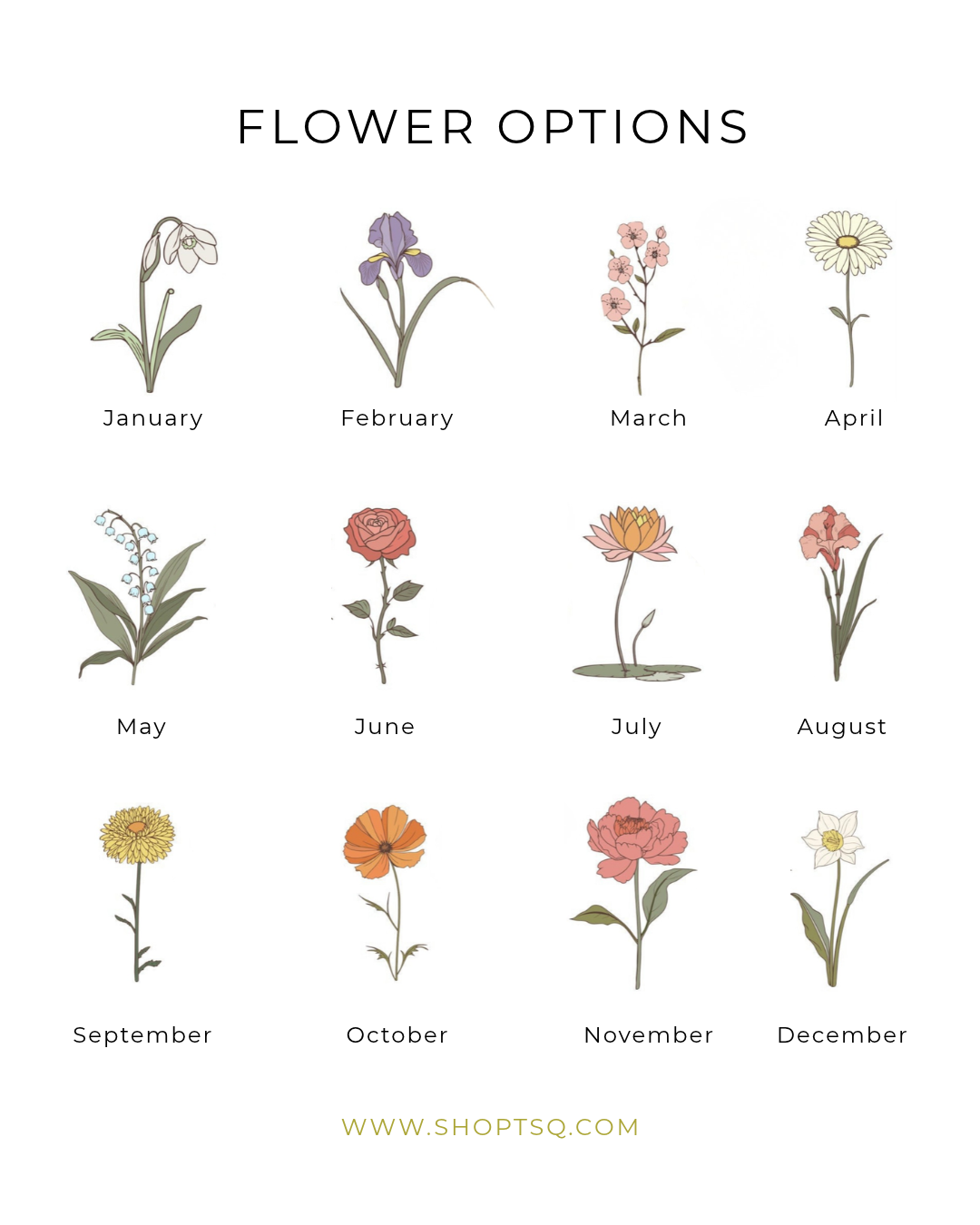 Birth Month Flower